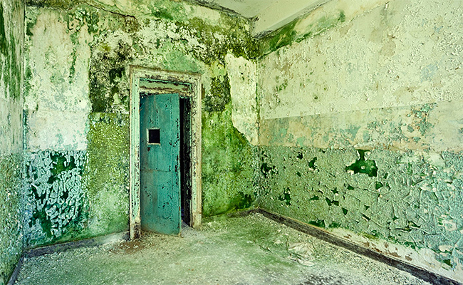 Divulgação Divulgação